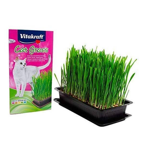 VITAKRAFT Cat Grass 120gr VITAKRAFT Cat Grass 120gr