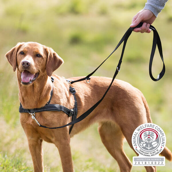 TRIXIE Σαμάρι Εκπ. LEAD N WALK M-L Μαύρο 55-90CM/25MM