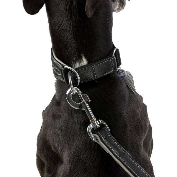 TRIXIE Περιλαίμιο Active Comfort Greyhound S S-M 33-42cm/25mm Μαύρο/Γκρι