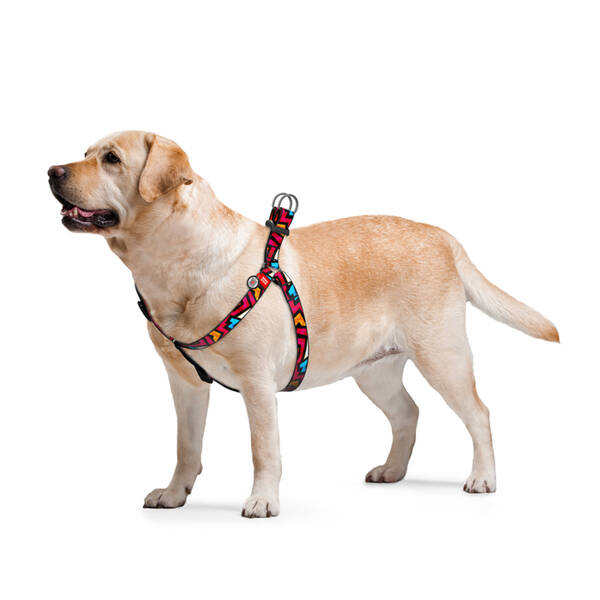 WAUDOG Naylon Dog Harness QR Passport ''Graffiti'' L - 25mm X 60-90cm (5016)