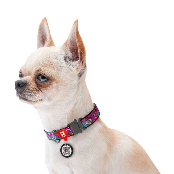 WAUDOG Naylon Dog Collar QR Passport ''Summer'' Metal Fastex L  25mm X 31-49cm (5169)