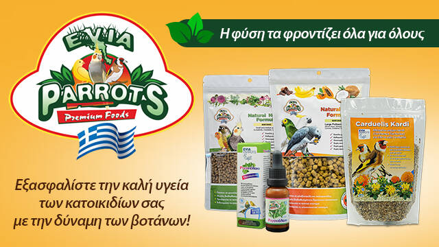 evia parrots