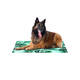 FREEDOG Eco Cool Bed (foam) 65x50cm Savannah