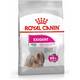 ROYAL CANIN Mini Exigent 3kg ROYAL CANIN Mini Exigent 3kg
