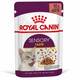 ROYAL CANIN Sensory Taste Gravy 85gr ROYAL CANIN Sensory Taste Gravy 85gr