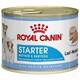ROYAL CANIN Starter Mousse 195gr ROYAL CANIN Starter Mousse 195gr