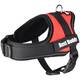 FLAMINGO Harness Best Buddy Pluto Red XXS 32-42cm