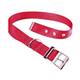 RECORD NYLON COLLAR 55 x 2.5cm Assorted