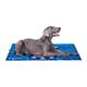 FREEDOG Eco Cool Bed (foam) 110x70cm Mandala